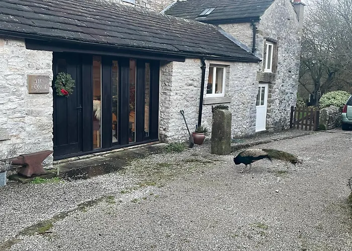 The Forge